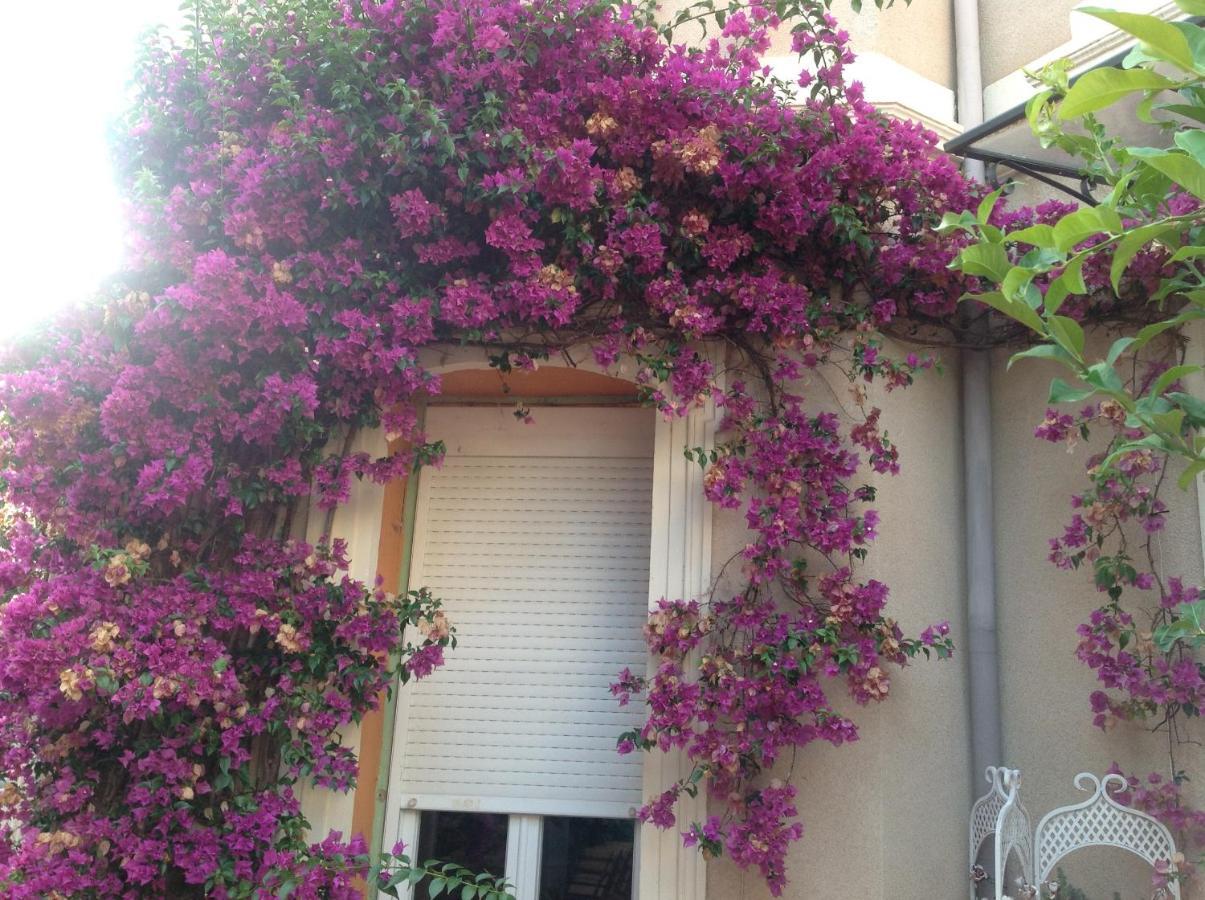 Hotel A L'Ombre Du Cedre Hyères Exterior foto